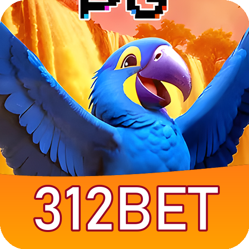 Formulário de Registro 312BET